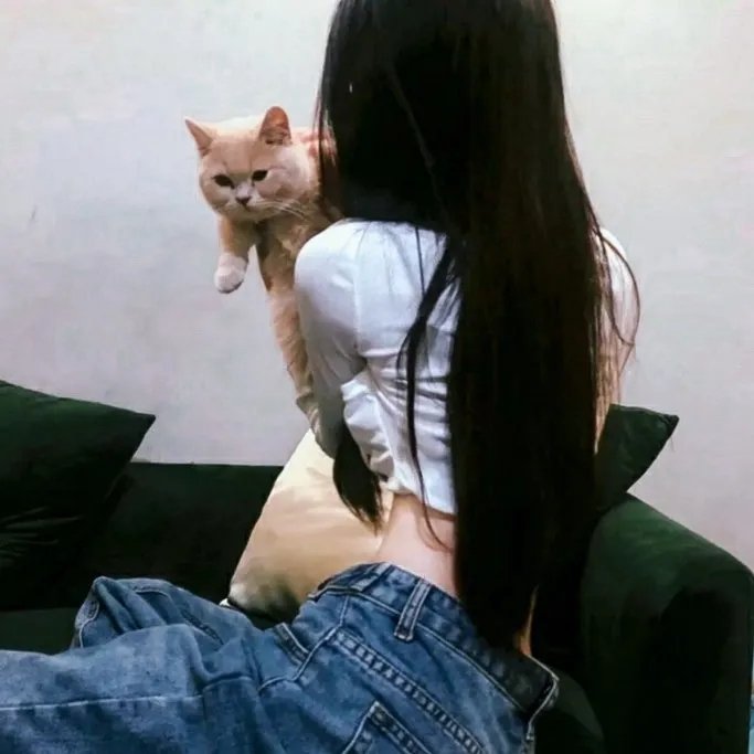 四个大姐一个婚礼